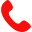 phoneIcon